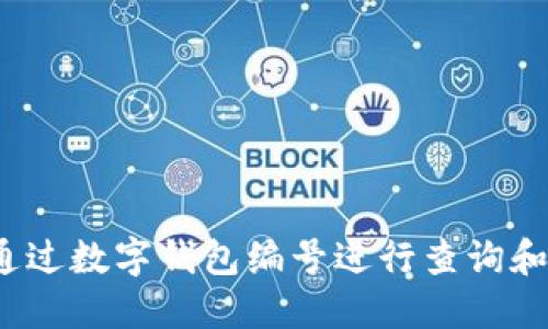 如何通过数字钱包编号进行查询和管理？