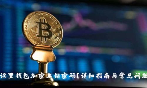 如何设置钱包加密上锁密码？详细指南与常见问题解答