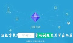 如何解决数字钱包未收到工资的问题及其背后的