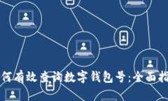 如何有效查询数字钱包号：全面指南