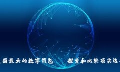 美国最大的数字钱包——探索和比较顶尖选择